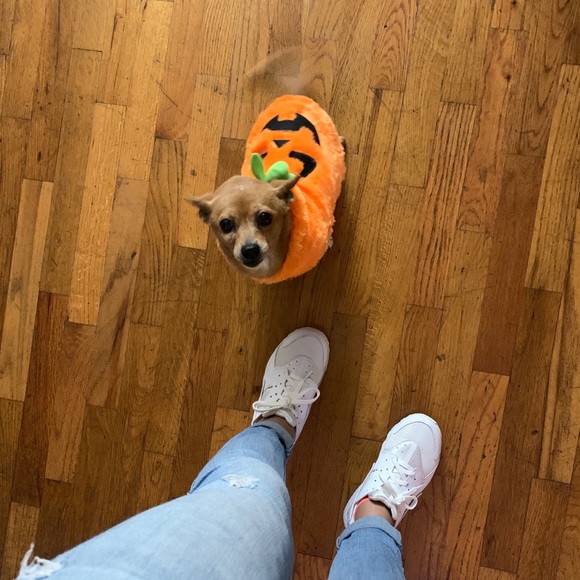 Meet your Posher, Cynthia - Picture 1 of 1